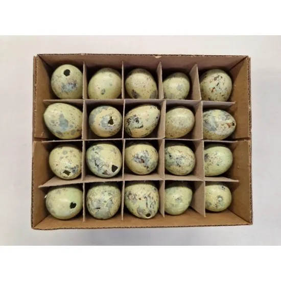 Quail eggs pastel green 60pcs