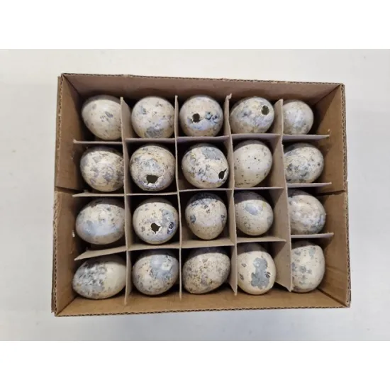 Quail eggs white 60pcs