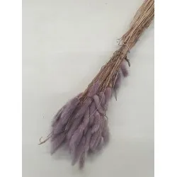 Lagurus ovatus dark lilac +/-100gr