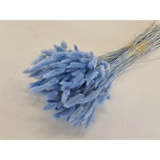 Lagurus ovatus lavende +/-100gr