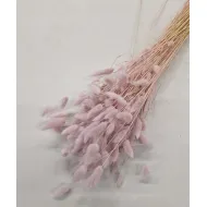 Lagurus ovatus light pink +/-100gr