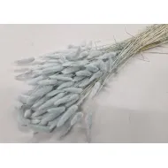 Lagurus ovatus meadow mist +/-100gr