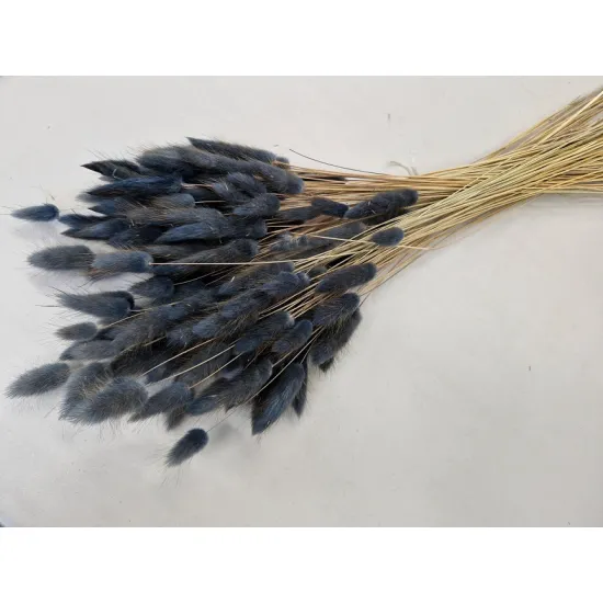 Lagurus ovatus mosgrijs +/-100gr