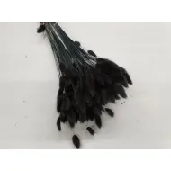 Lagurus ovatus noir +/-100gr