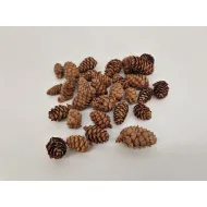 Larix naturel +/-100gr