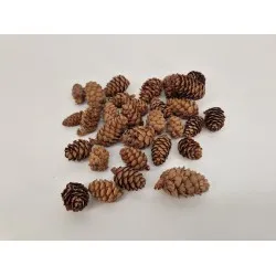 Larix natural +/-100gr