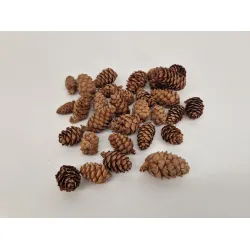 Larix naturel +/-500gr