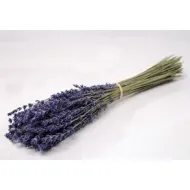 Lavende