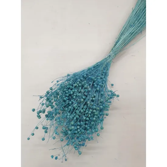 Lin aquamarine +/-100gr
