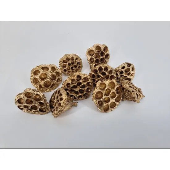 Lotus medium gold 10pcs