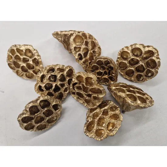 Lotus medium goud 50st