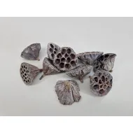 Lotus medium white wash 10pcs