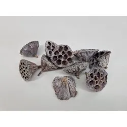 Lotus medium white wash 10pcs