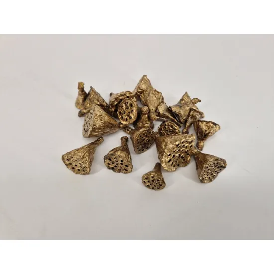 Lotus mini goud 20st