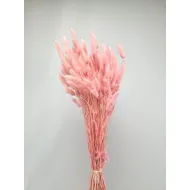 Lagurus ovatus baby rose +/-100gr