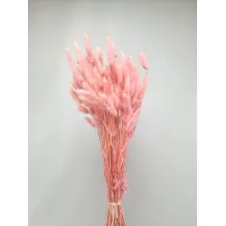 Lagurus ovatus baby roze +/-100gr