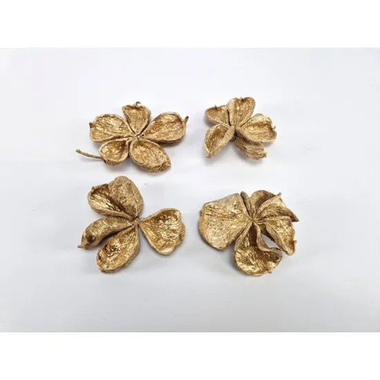 Land lotus gold 4pcs
