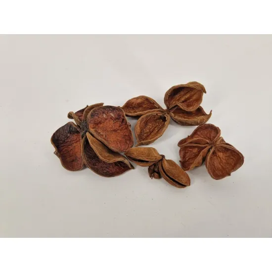 Land lotus natural 4pcs