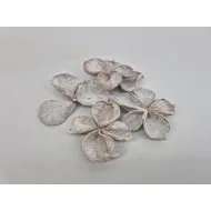 Landlotus  white wash 15pcs