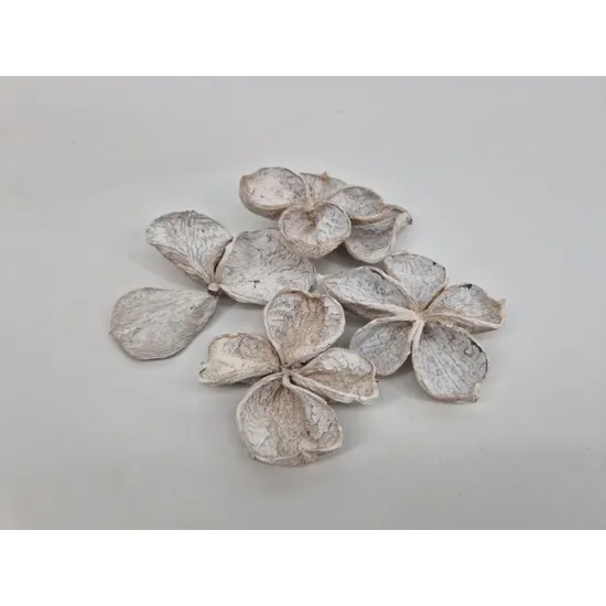 Land lotus white wash 4pcs
