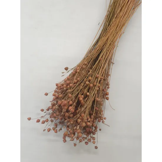 Lin rose vieux +/-100gr