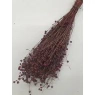 Linum (vlas) pruim +/-100gr