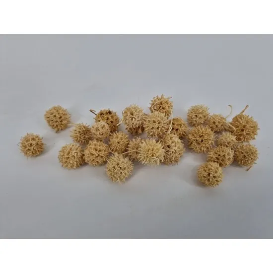 Liquidambar (amberbaum) blanchi +/-150gr