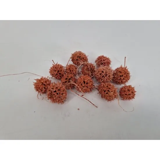 Liquidambar rose pastel +/-150gr