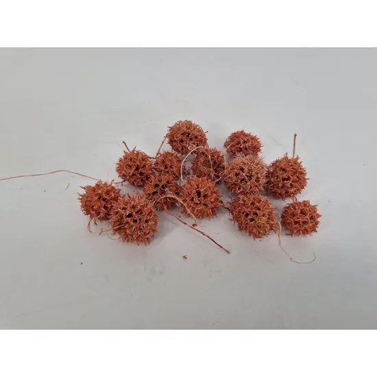 Liquid ambar (amberbaum) powder rose +/-40gr