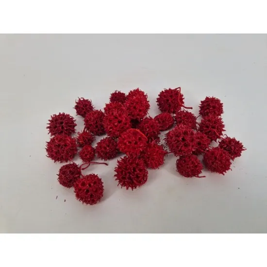 Liquidambar (amberbaum) rouge +/-150gr