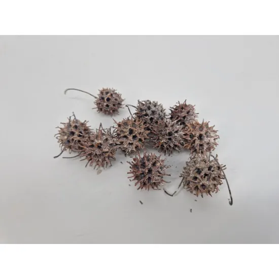 Liquidambar (amberbaum) white wash +/-150gr