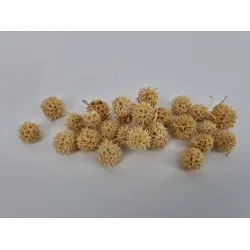 Liquidambar blanchi +/-40gr