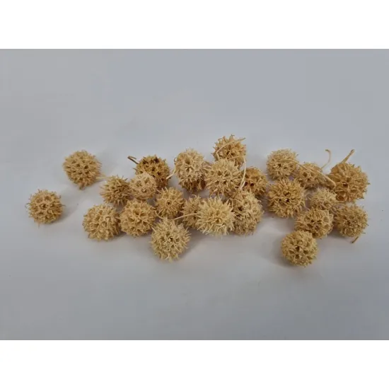 Liquidambar blanchi +/-40gr