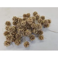 Liquidambar or +/-150gr