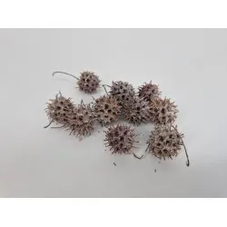 Liquidambar white wash +/-40gr