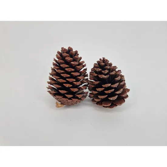 Maritima 10/14 naturel 75st