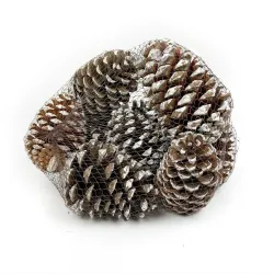 Maritima 10/14 witte tip 12st