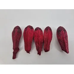 Mehogni bordeaux 5pcs