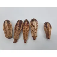 Mehogni naturel 30pcs