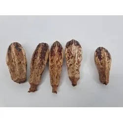 Mehogni naturel 5pcs