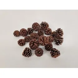 Mugus naturel +/-100gr