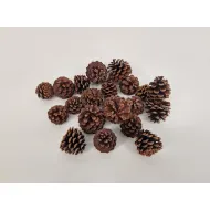 Mugus naturel +/-500gr