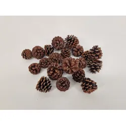 Mugus natural +/-500gr