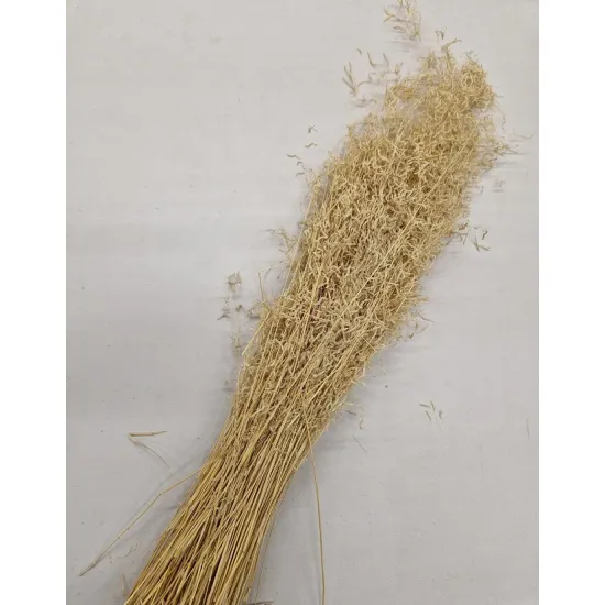 Munni grass gebleekt +/-200gr