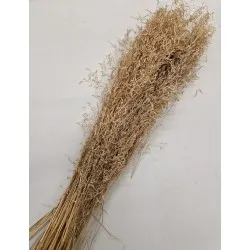 Munni grass naturel +/-200gr