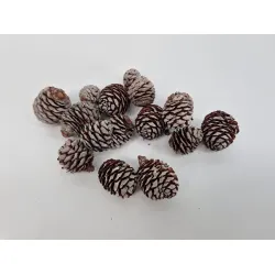 Muirii natural +/-500gr