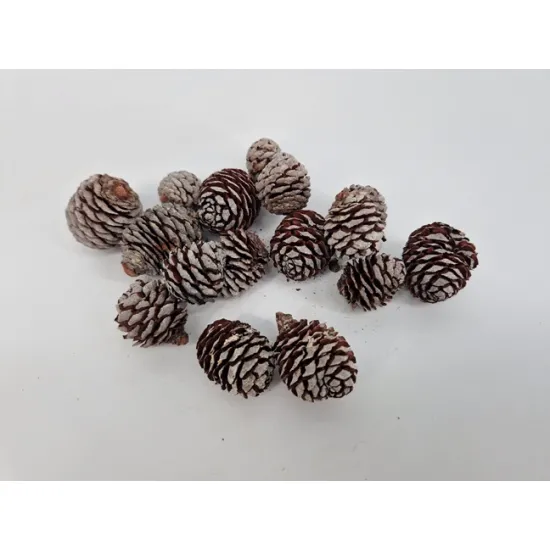 Muirii naturel +/-500gr