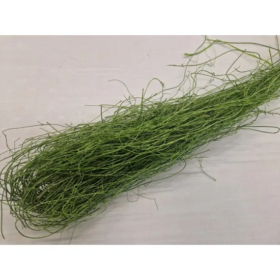 Mullembechia vert pomme +/-250gr