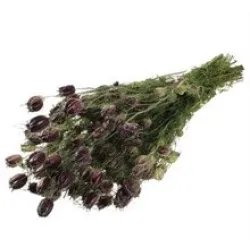 Nigella red naturel