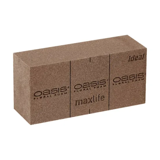 Oasis blok bio 23x12x8cm 20st